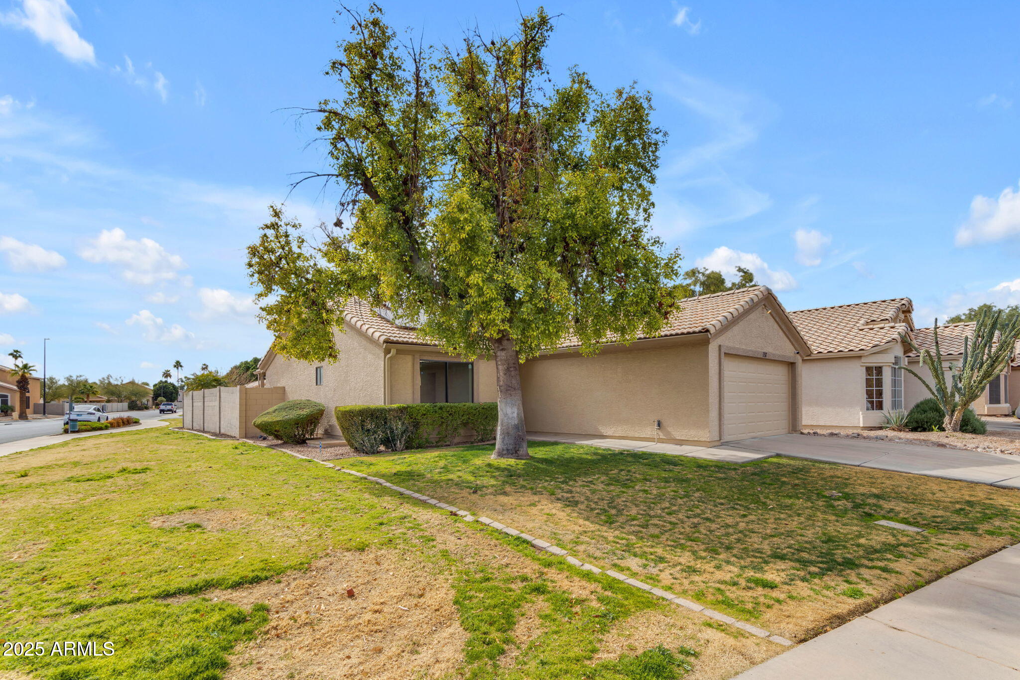 137 West Gary Way Gilbert, AZ 85233 - Photo 40 of 43 a front view of house with yard