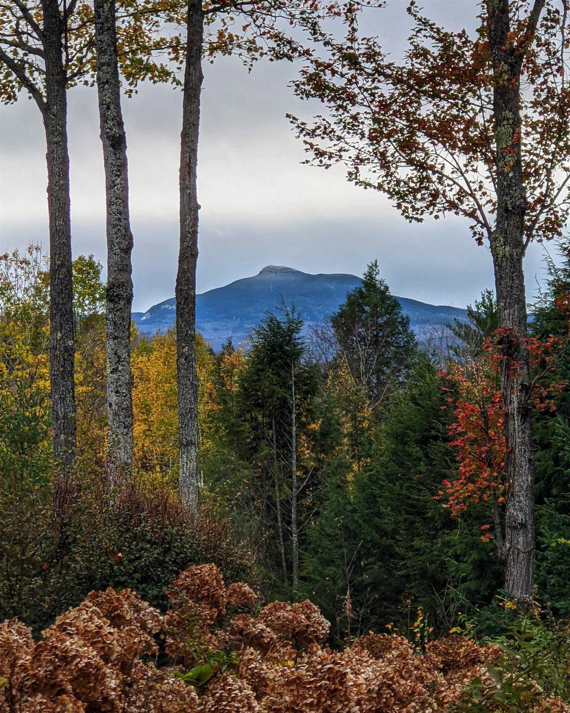 234 North Pinnacle Ridge Road Waterbury, VT 05676 - Photo 30 of 40