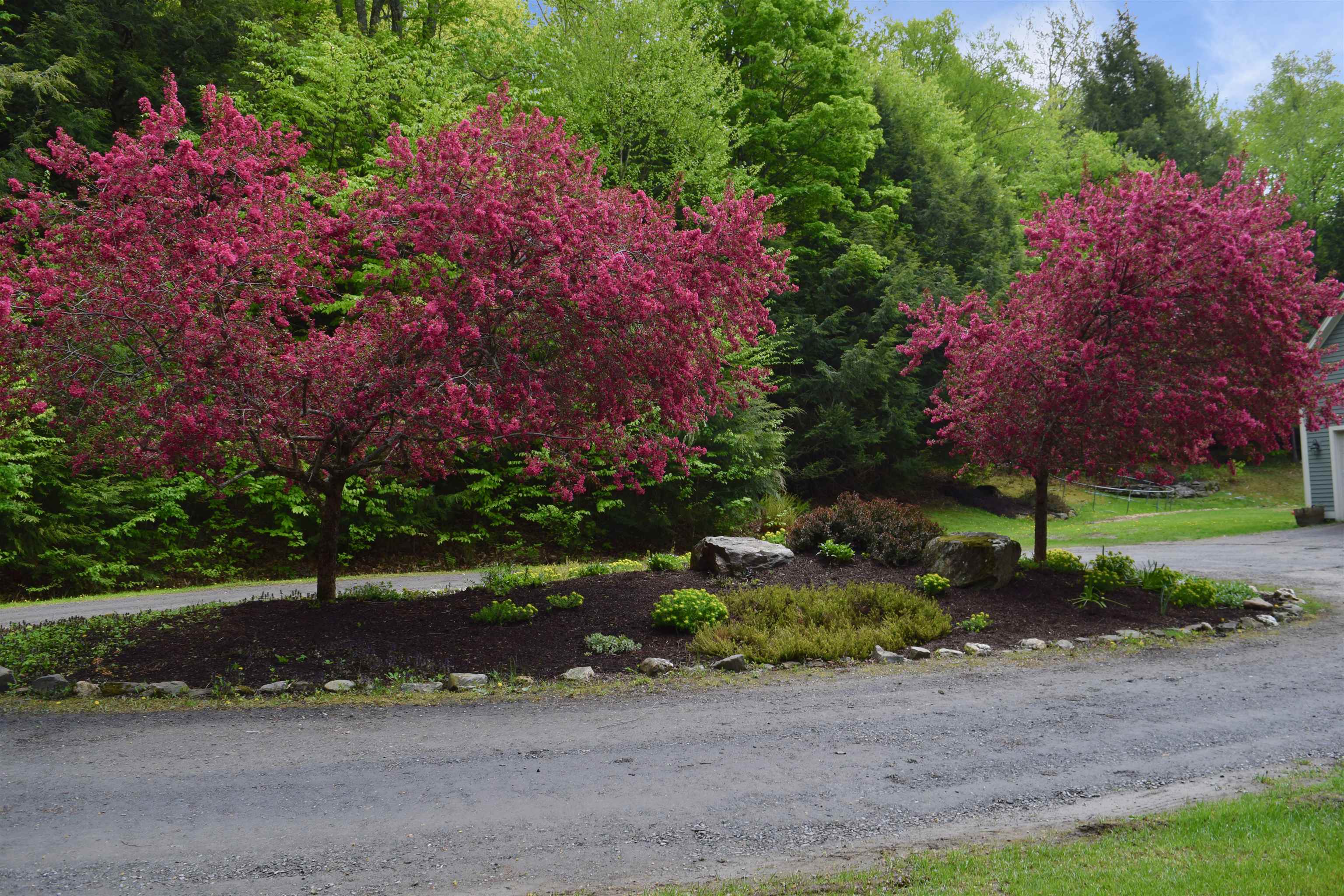 234 North Pinnacle Ridge Road Waterbury, VT 05676 - Photo 34 of 40
