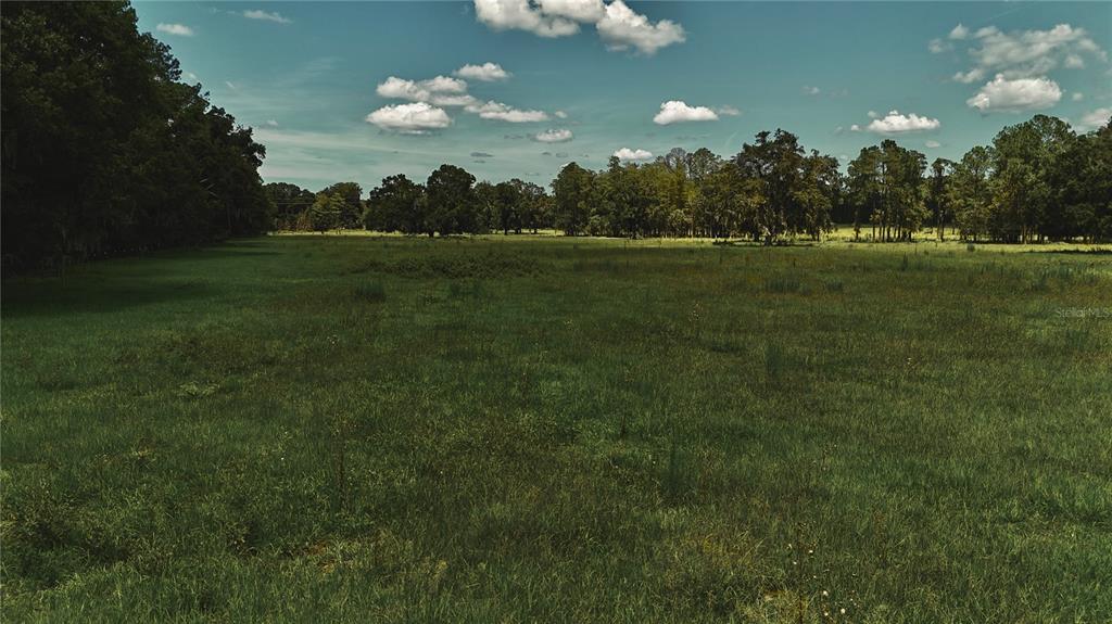 4802 Northwest 50th Road Starke, FL 32091 - Photo 24 of 75 Gallery Image 24