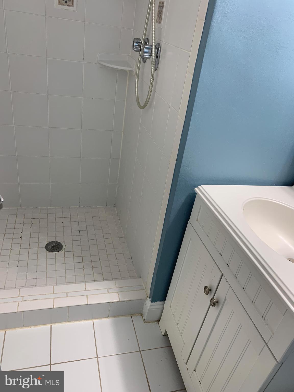 3844 Bel Pre Road, Unit 4154 Silver Spring, MD 20906 - Photo 11 of 18 Master Bathroom