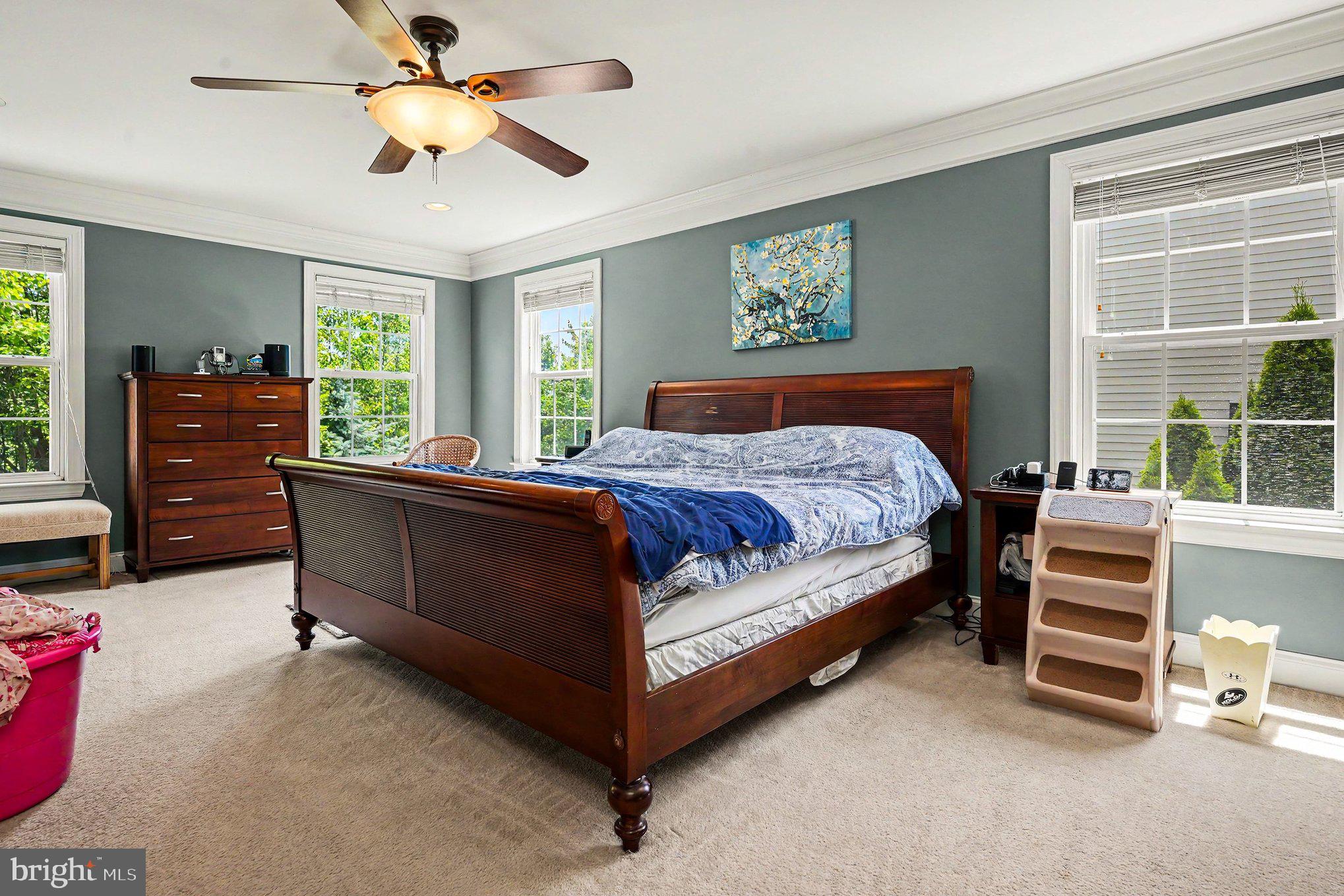 3836 Taylortown Road Furlong, PA 18925 - Photo 41 of 60 Master Bedroom