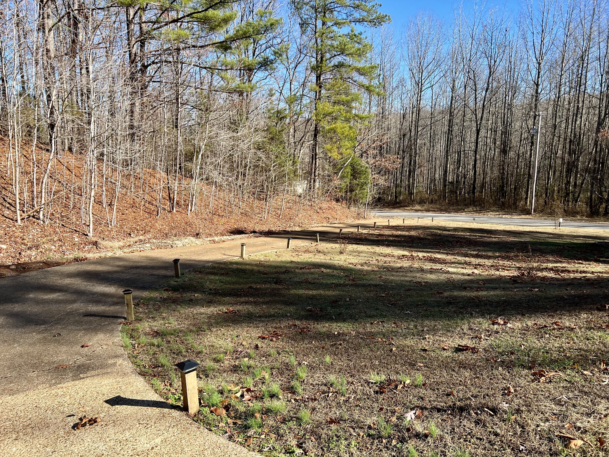 1110 Harmon Creek Road Eva, TN 38333 - Photo 9 of 18 a view of a backyard