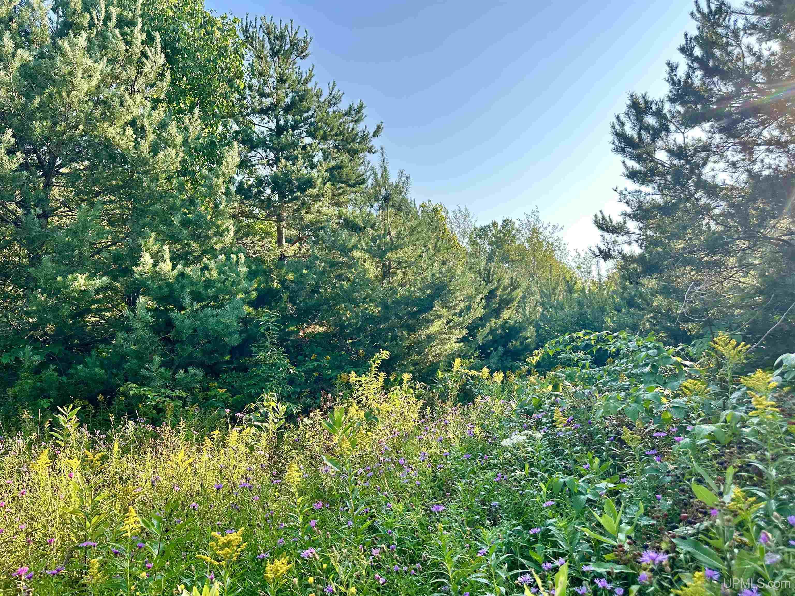Tbd Crestview Road Ironwood, MI 49938 - Photo 27 of 49