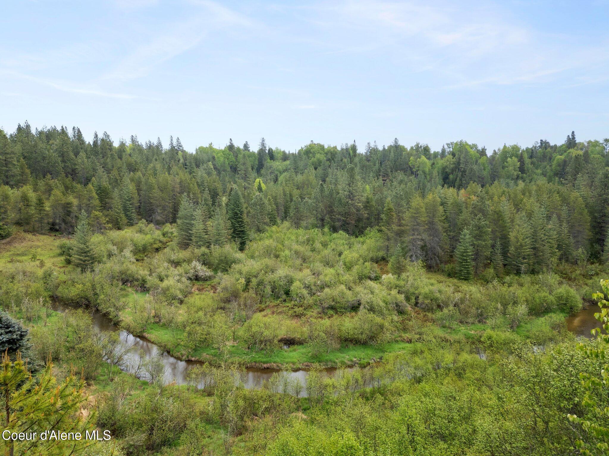 351 West Branch Road Priest River, ID 83856 - Photo 12 of 25 2-web-or-mls-DJI_0012