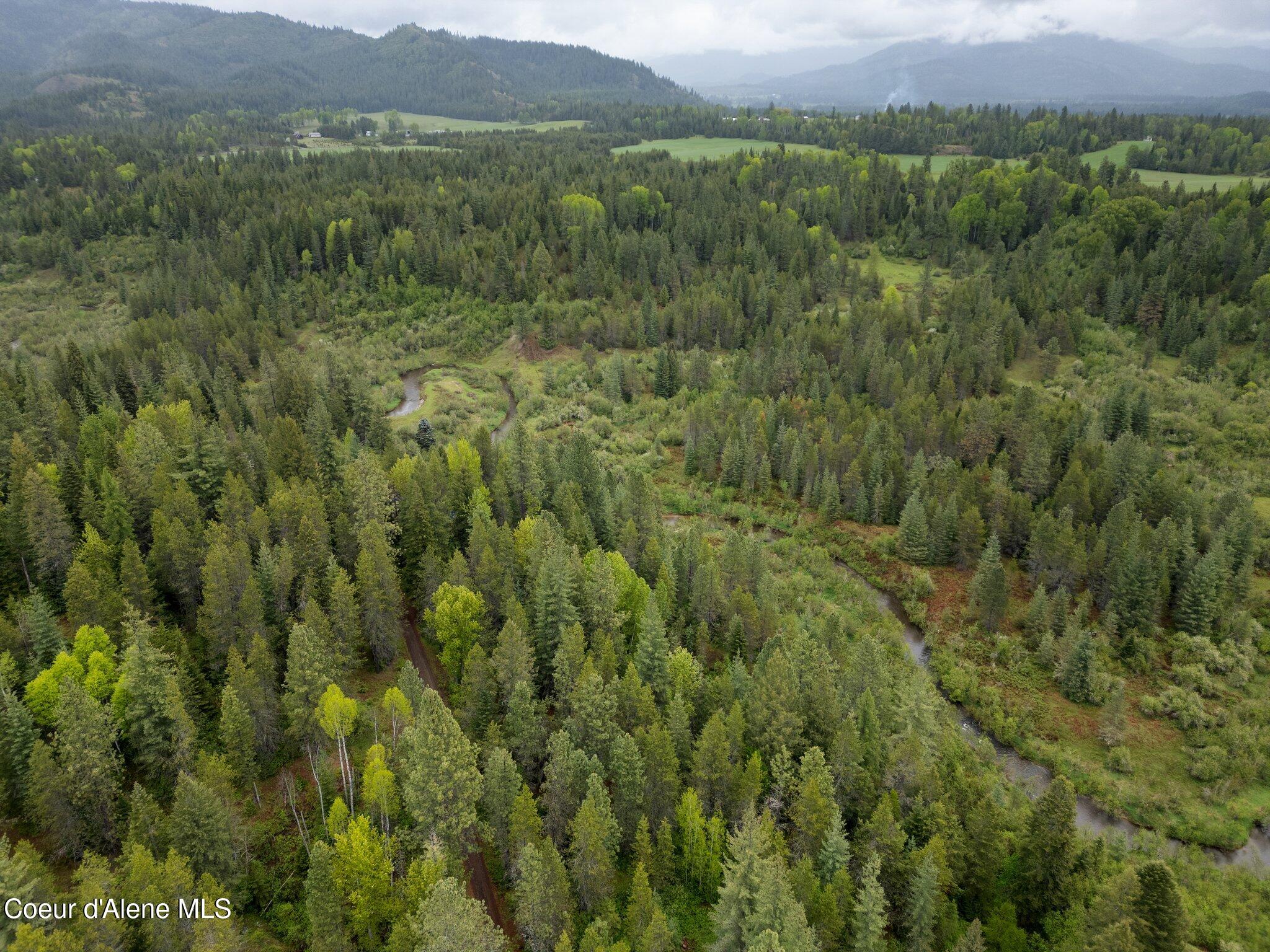 351 West Branch Road Priest River, ID 83856 - Photo 14 of 25 8-web-or-mls-DJI_0875