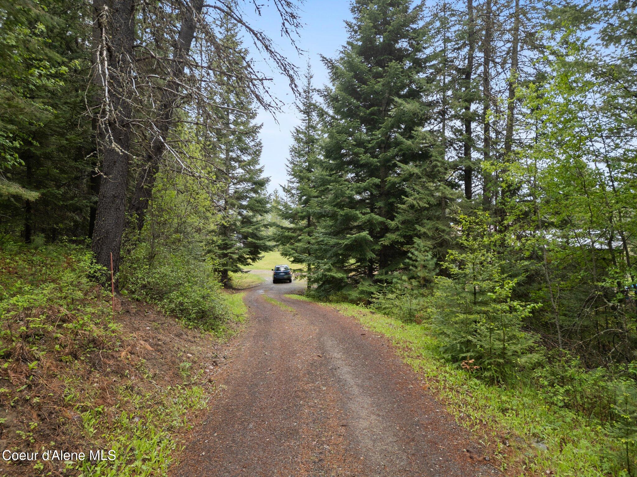 351 West Branch Road Priest River, ID 83856 - Photo 23 of 25 24-web-or-mls-DJI_0990