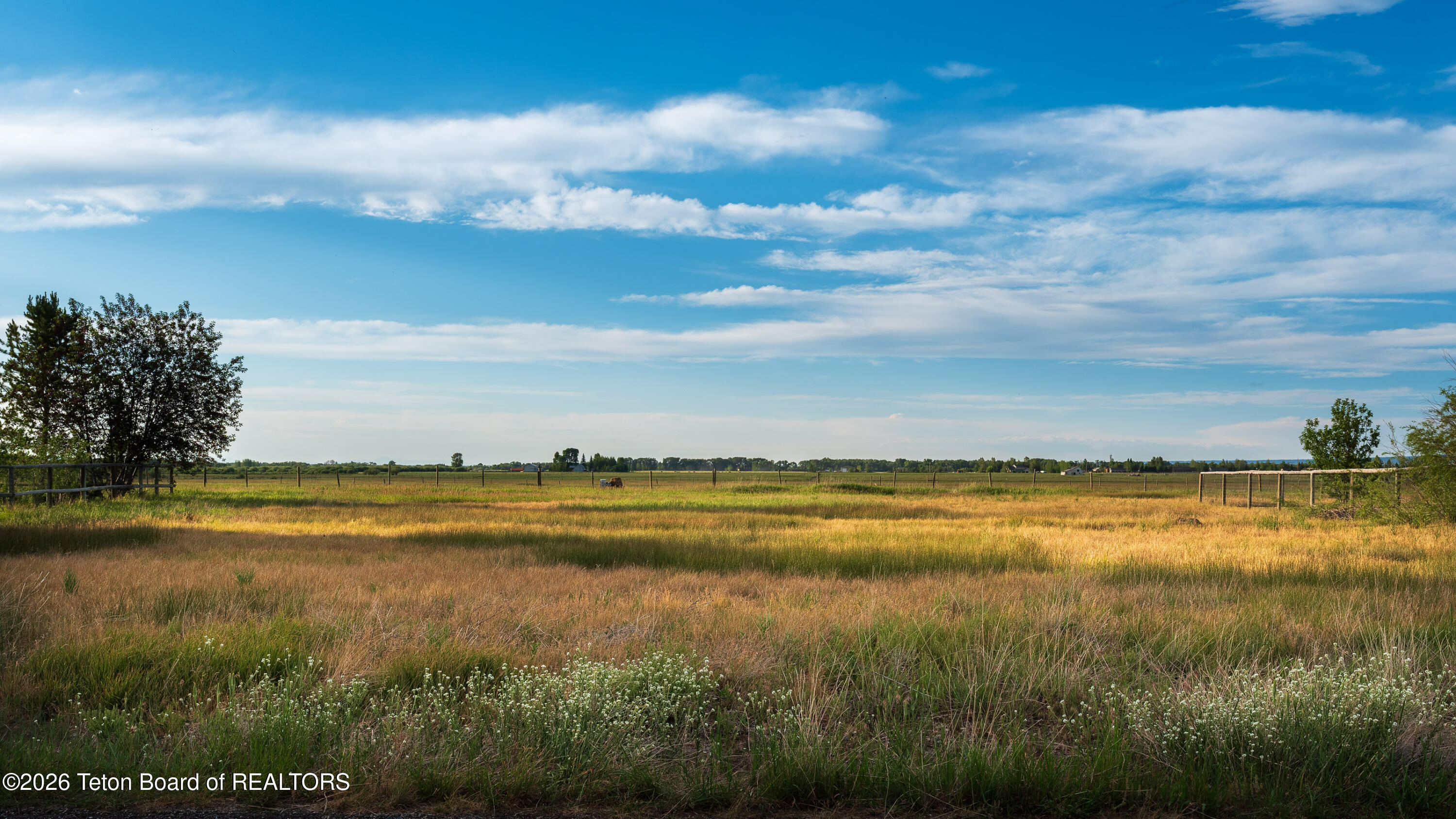 1144 Canoe Loop Victor, ID 83455 - Photo 2 of 8 _DSF0561
