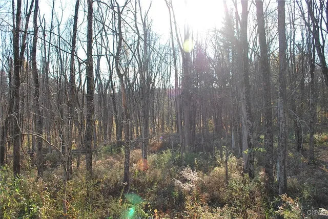 $225,000 | 173 Green Road, New Haven, NY 13114