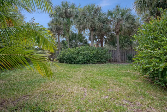 a view of a yard in a backyard