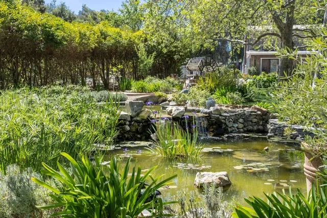 a view of a house with potted plants and a table