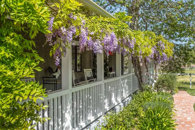 a view of a house with a tree