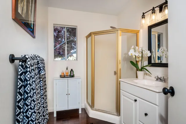 a view of a yard with plants and large trees