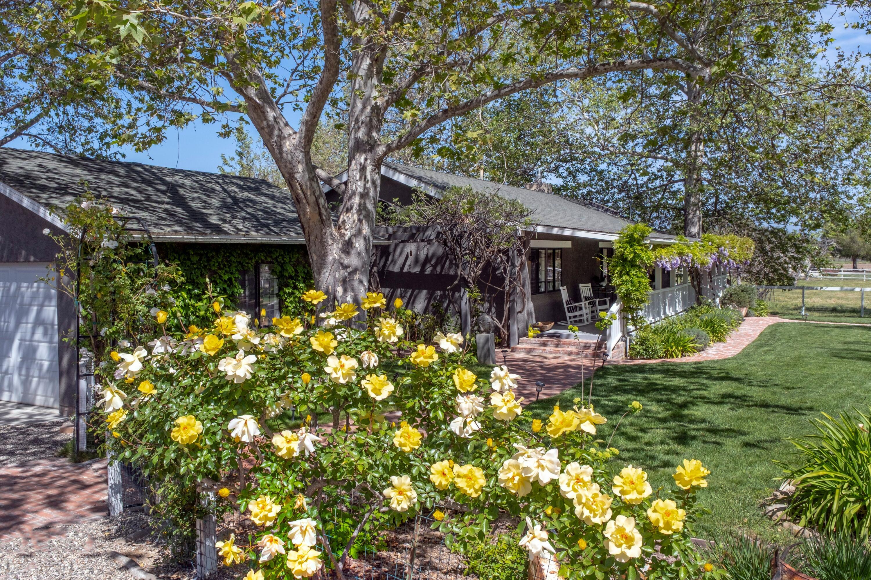 2921 Ontiveros Road Santa Ynez, CA 93460 - Photo 70 of 83 a view of a house with a tree in a yard