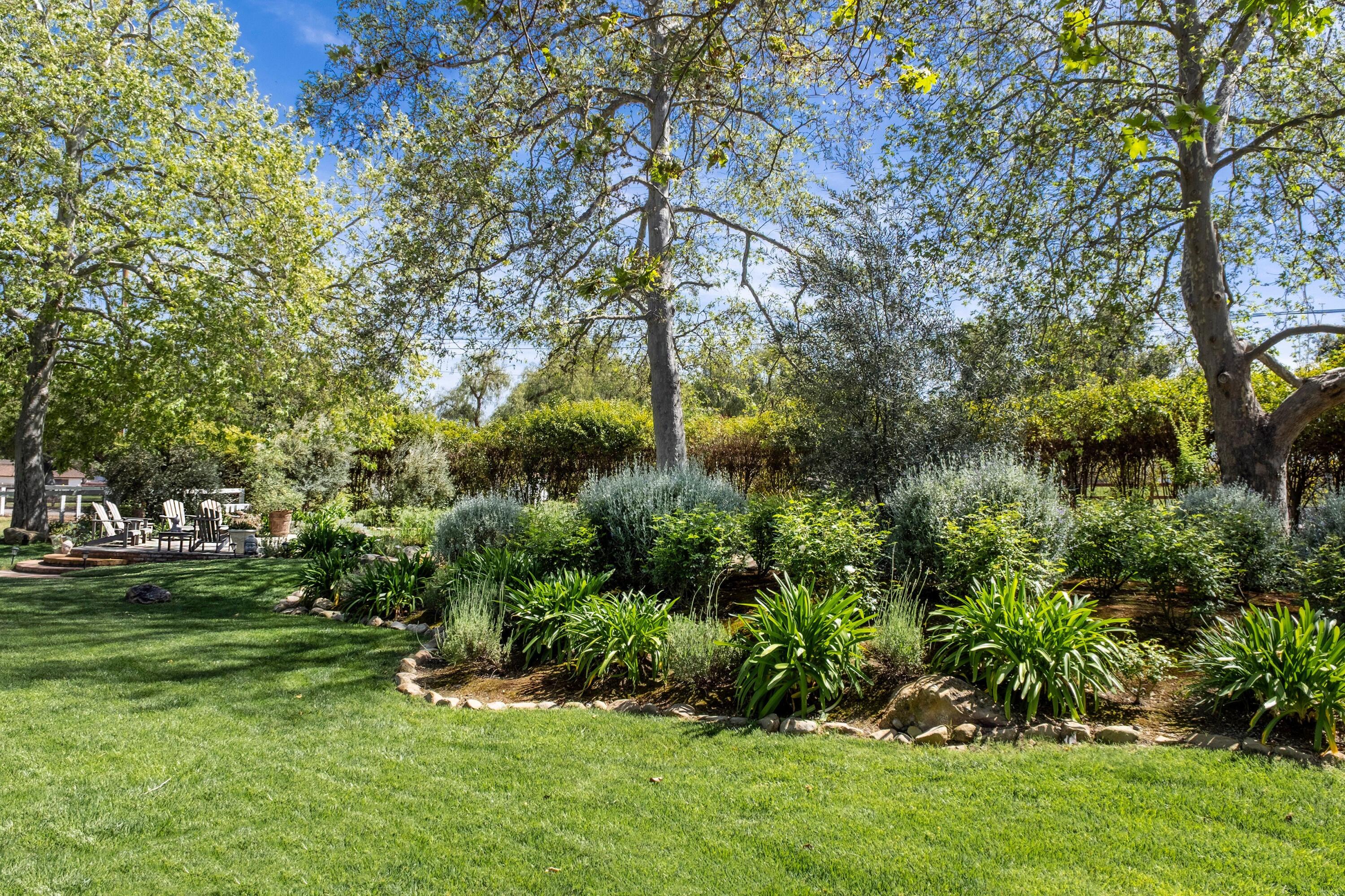 2921 Ontiveros Road Santa Ynez, CA 93460 - Photo 75 of 83 a view of a yard with a tree