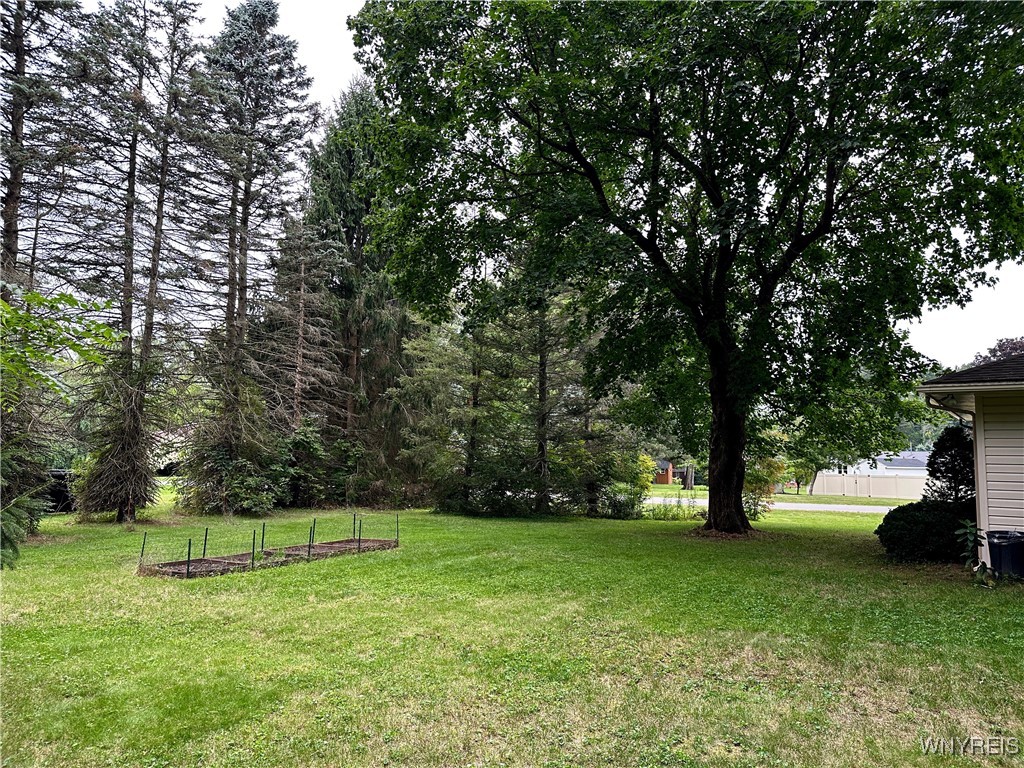 484 Creekside Drive Alden, NY 14004 - Photo 46 of 48