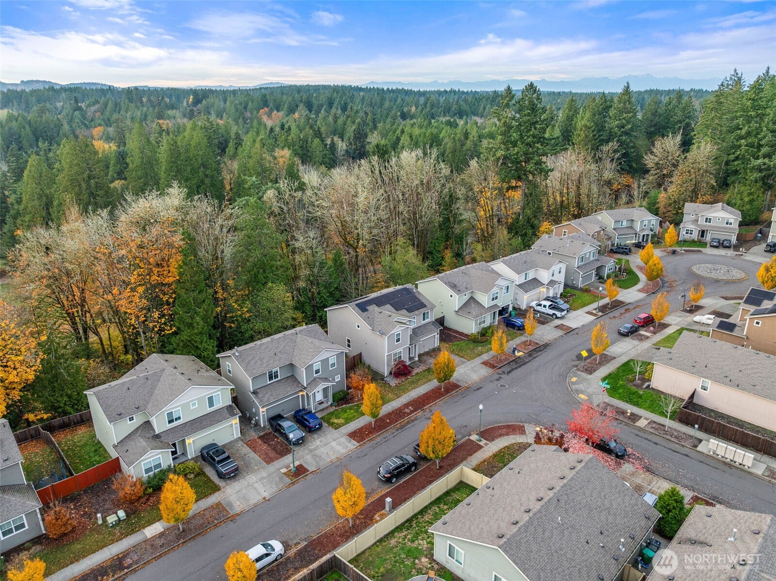 1705 Butler Court Northwest Olympia, WA 98502 - Photo 5 of 40 an aerial view of multiple house