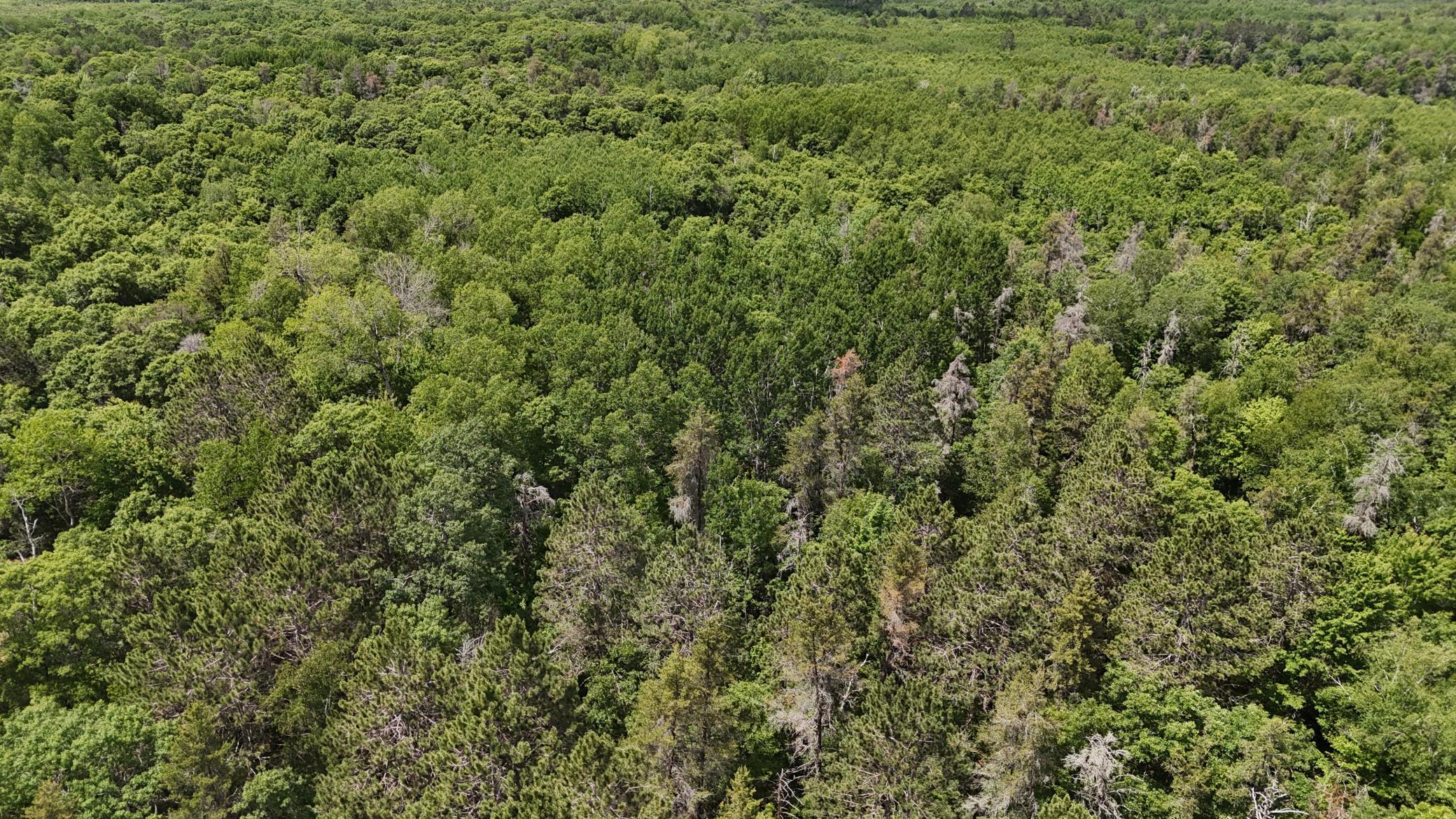 12997 East Mail Road Gordon, WI 54838 - Photo 44 of 65
