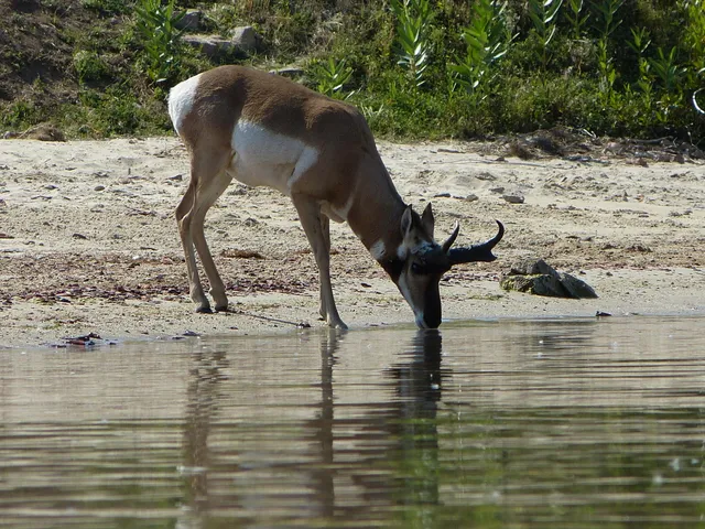$325,000 | 32 Shoreline Drive, Buffalo, WY 82834