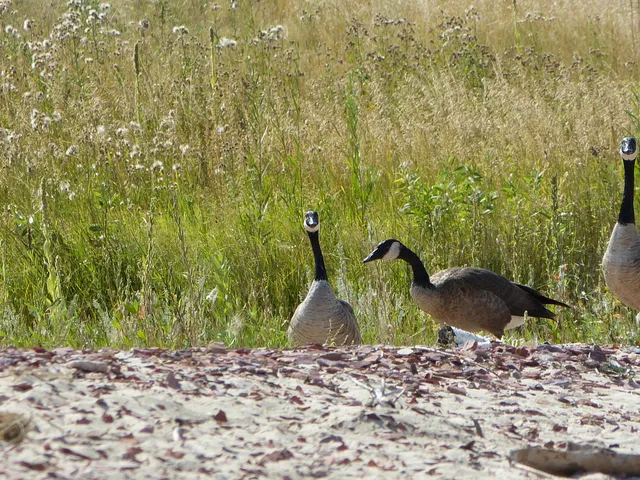 $325,000 | 32 Shoreline Drive, Buffalo, WY 82834