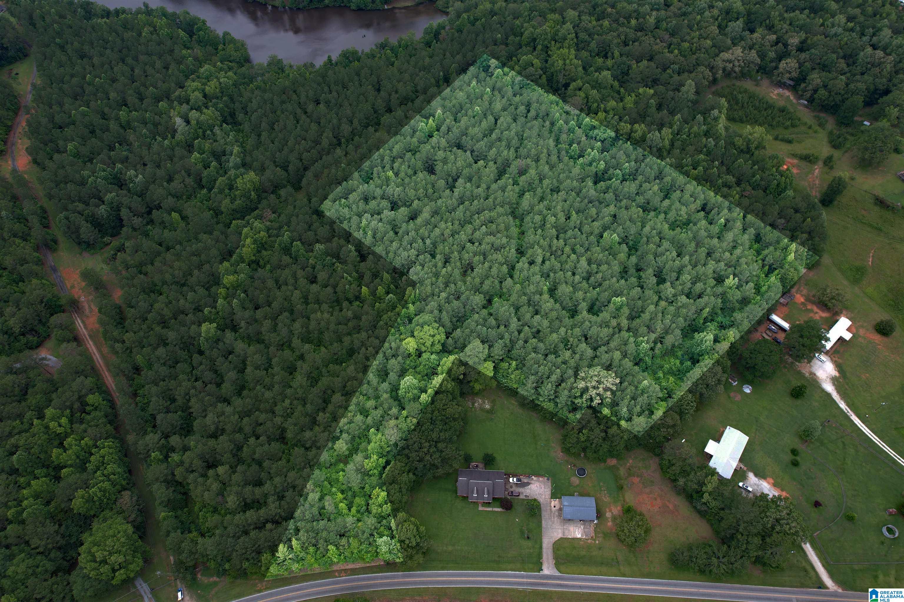 0 Houston Road Sylacauga, AL 35151 - Photo 6 of 32