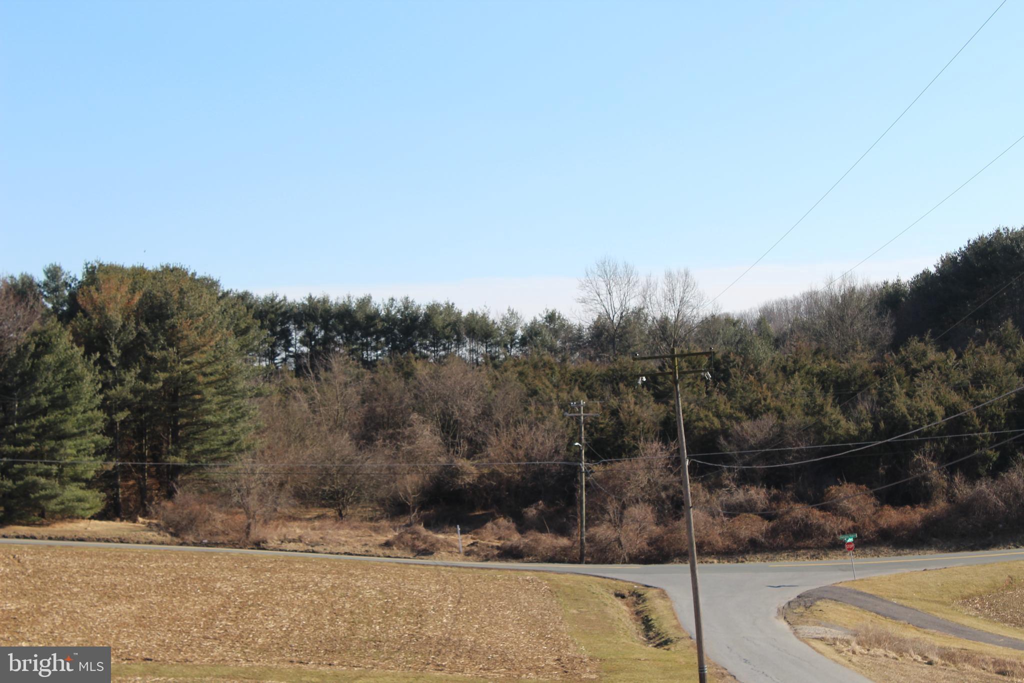 Pretty Boy Dam Road Parkton, MD 21120 - Photo 1 of 5 View of Property from across road