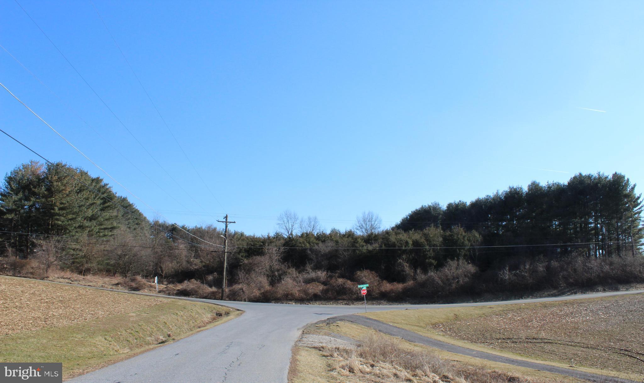 Pretty Boy Dam Road Parkton, MD 21120 - Photo 5 of 5 View of Property