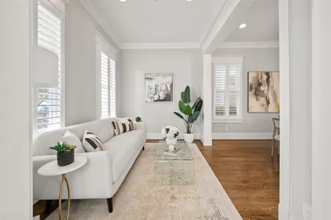 a living room with furniture and a potted plant