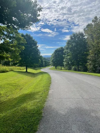 an aerial view of a play ground with large trees