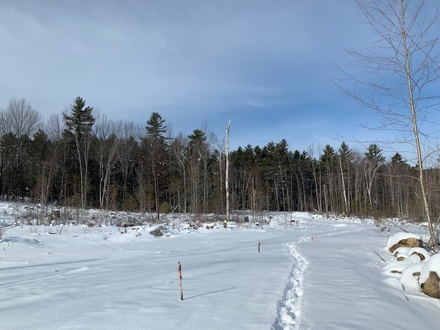 Lot 4 South Whitefield Road Whitefield, NH 03598 - Photo 2 of 11 Gallery Image 2