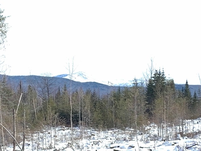 Lot 4 South Whitefield Road Whitefield, NH 03598 - Photo 3 of 11 Gallery Image 3