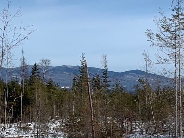Lot 4 South Whitefield Road Whitefield, NH 03598 - Photo 5 of 11 Gallery Image 5