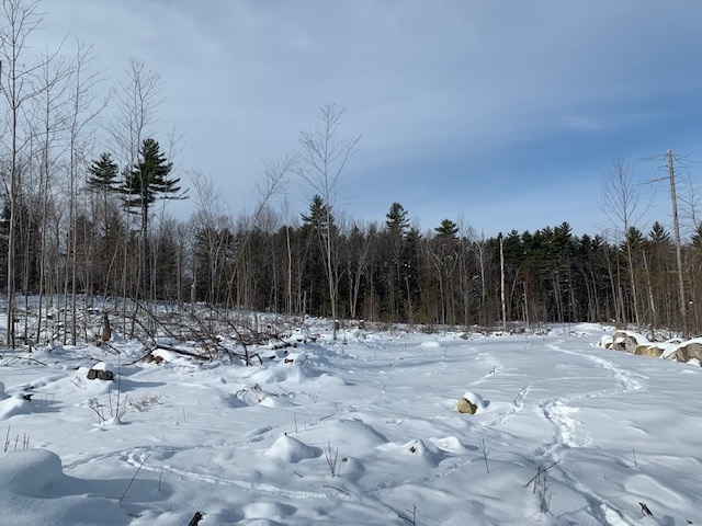 Lot 4 South Whitefield Road Whitefield, NH 03598 - Photo 7 of 11 Gallery Image 7
