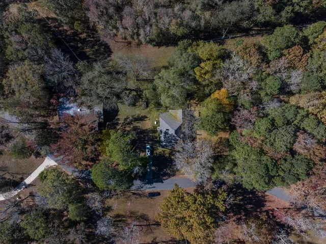 a view of a forest with a forest