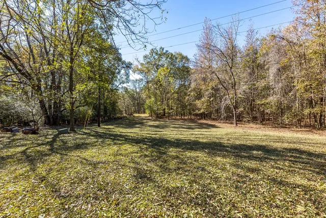 a view of a yard with a trees