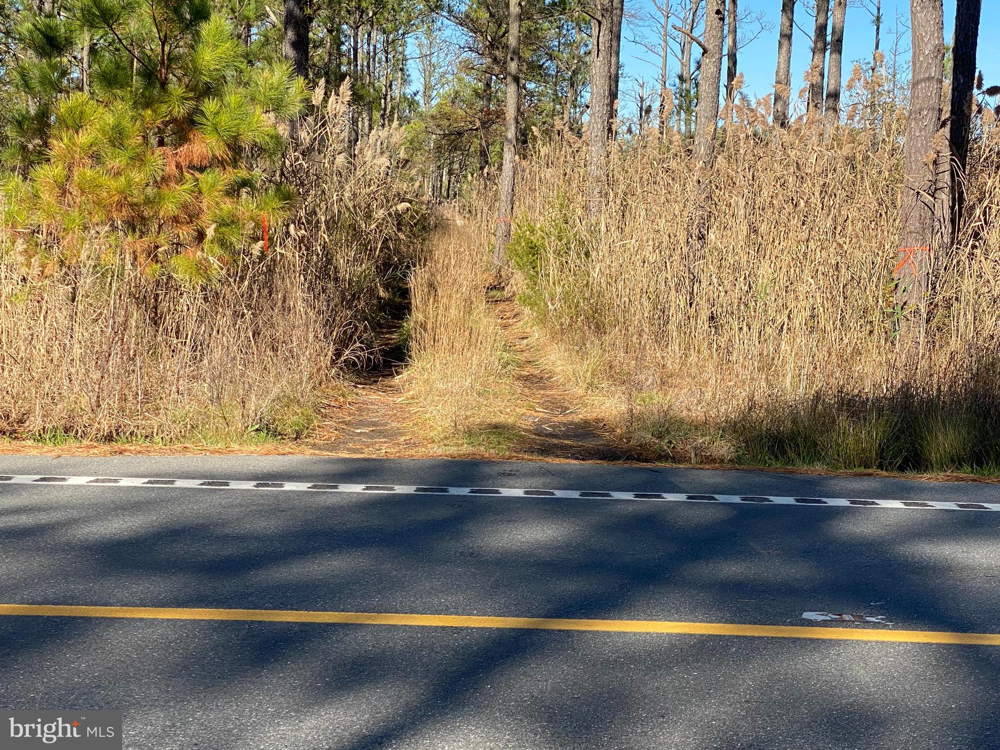 0 Deal Island Road Princess Anne, MD 21853 - Photo 1 of 1 a view of a yard