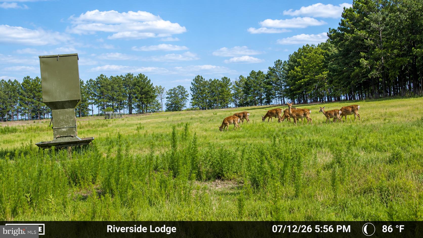 1713 Doeller Road Fishing Creek, MD 21634 - Photo 92 of 96