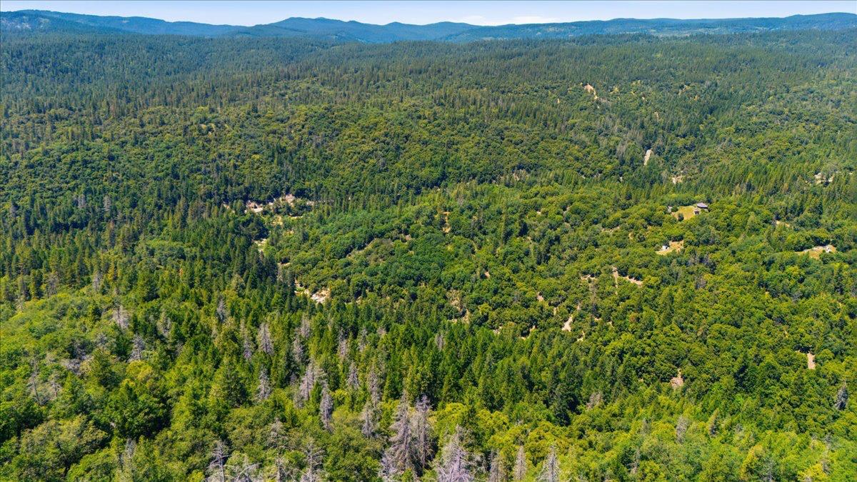 19643 Sages Road Nevada City, CA 95959 - Photo 31 of 39 a view of a lush green hillside and houses