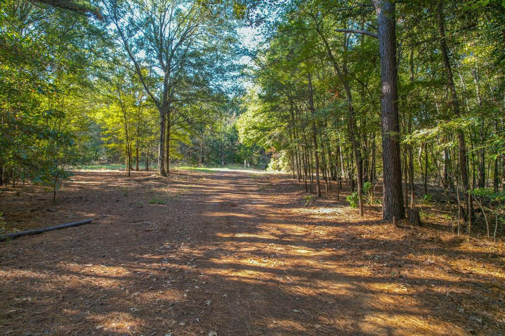 0 County Road 3409 Chandler, TX 75758 - Photo 25 of 38 a view of outdoor space with trees