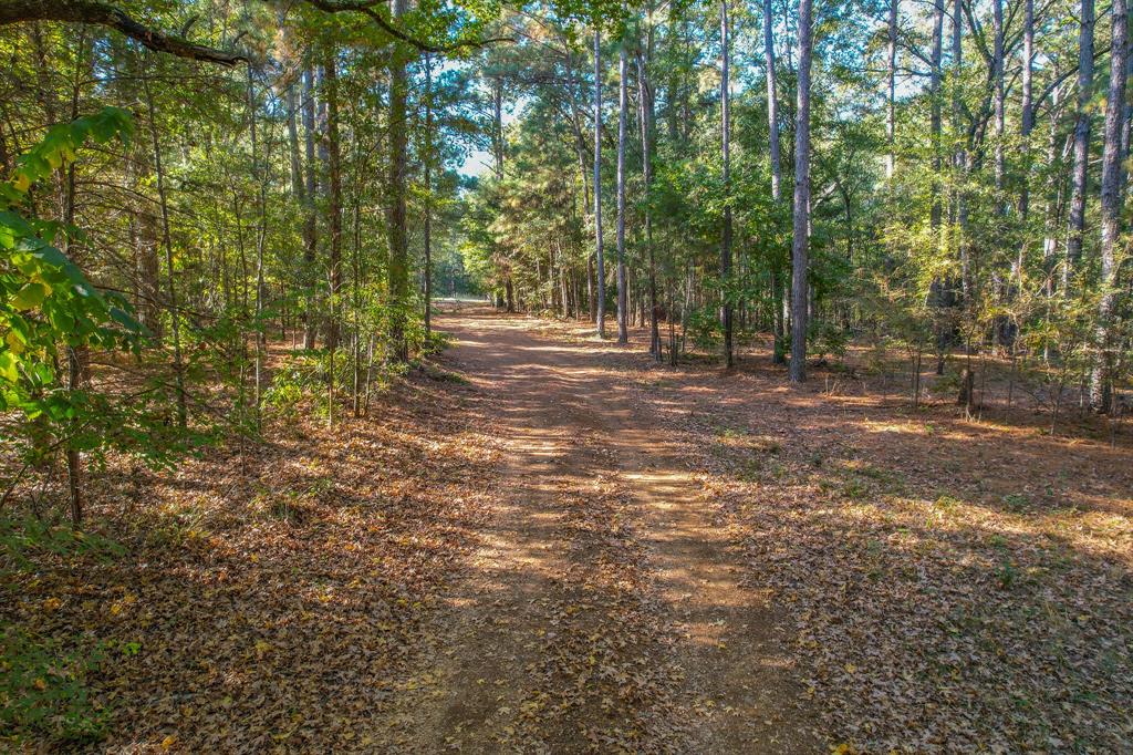 0 County Road 3409 Chandler, TX 75758 - Photo 26 of 38 a view of outdoor space with trees