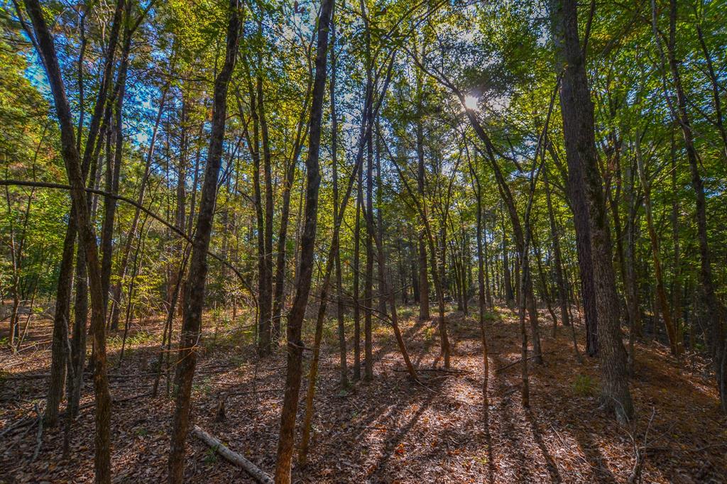 0 County Road 3409 Chandler, TX 75758 - Photo 27 of 38 a view of outdoor space and green space