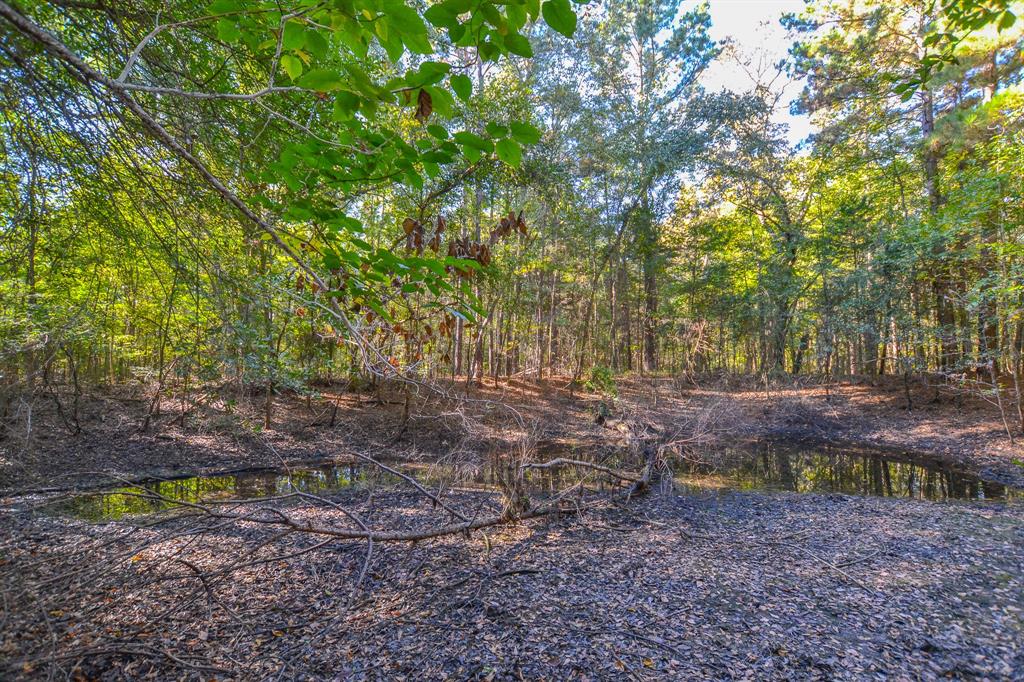 0 County Road 3409 Chandler, TX 75758 - Photo 28 of 38 a backyard of a house with lots of green space