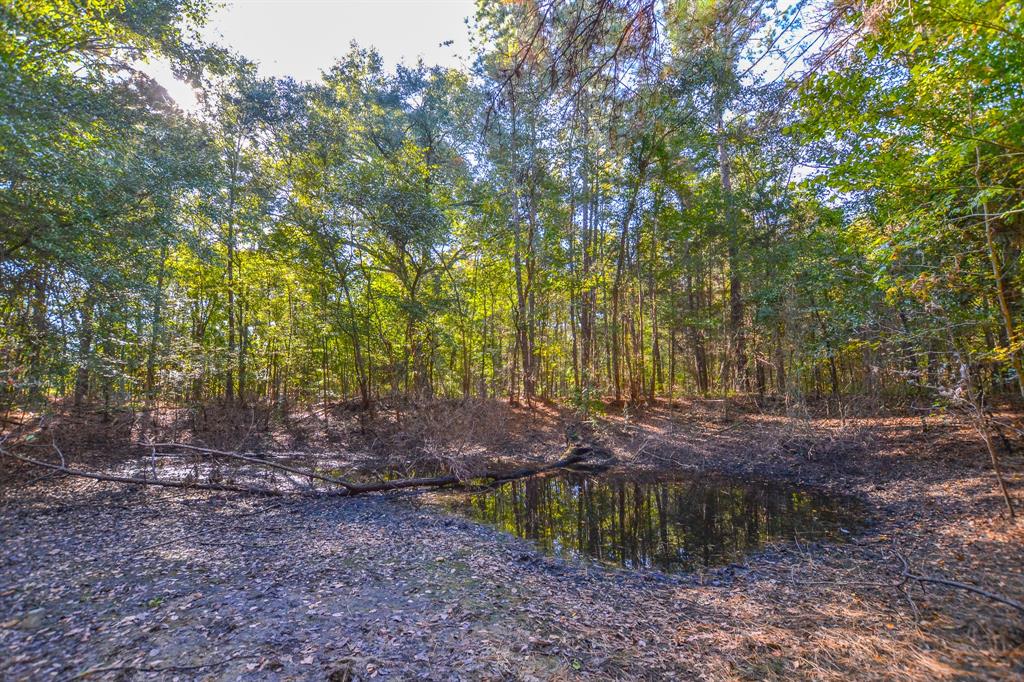0 County Road 3409 Chandler, TX 75758 - Photo 29 of 38 a view of a yard with plants and trees