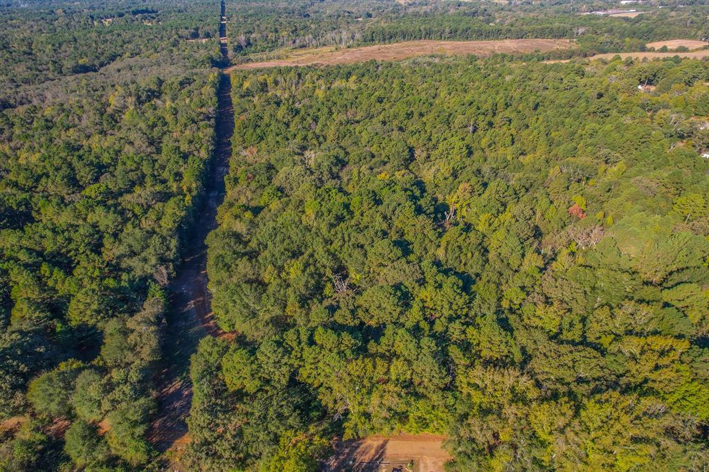 0 County Road 3409 Chandler, TX 75758 - Photo 34 of 38 a view of a yard with plants