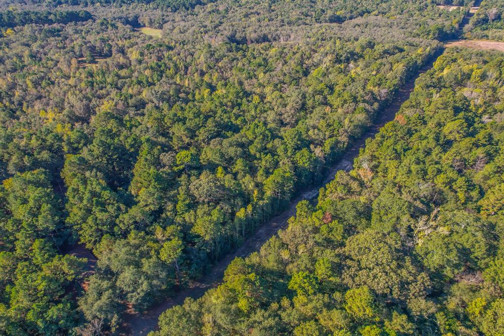 0 County Road 3409 Chandler, TX 75758 - Photo 37 of 38 a view of a garden with plants and flowers