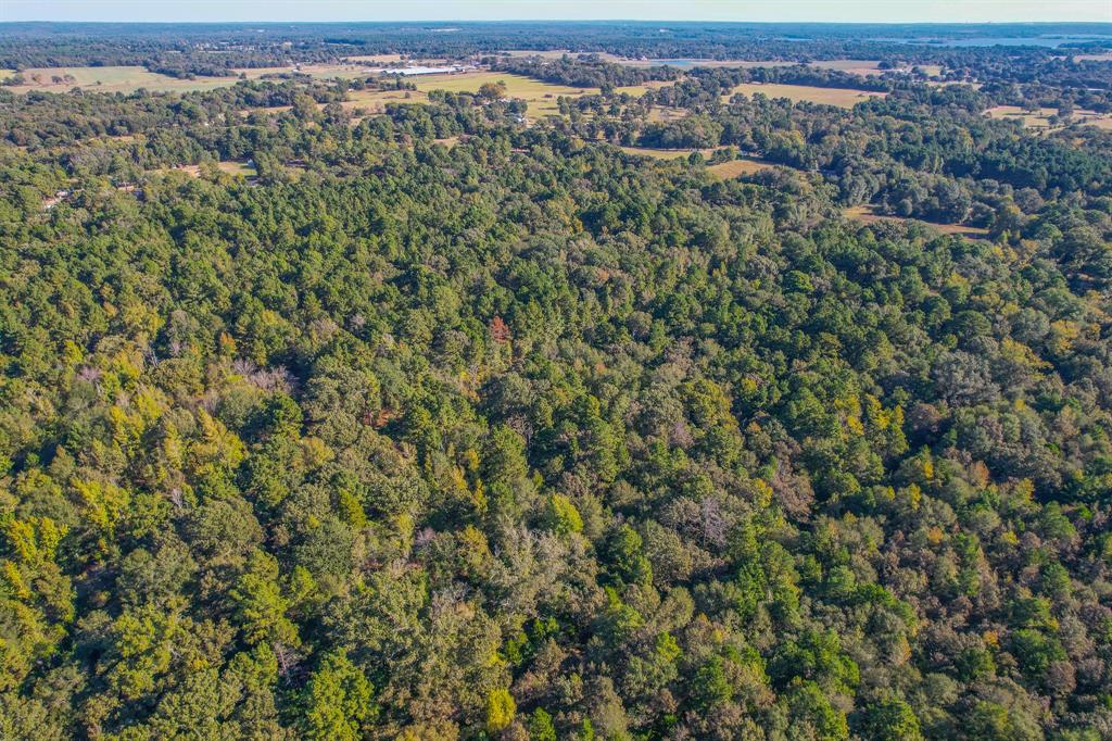 0 County Road 3409 Chandler, TX 75758 - Photo 38 of 38 an aerial view of forest