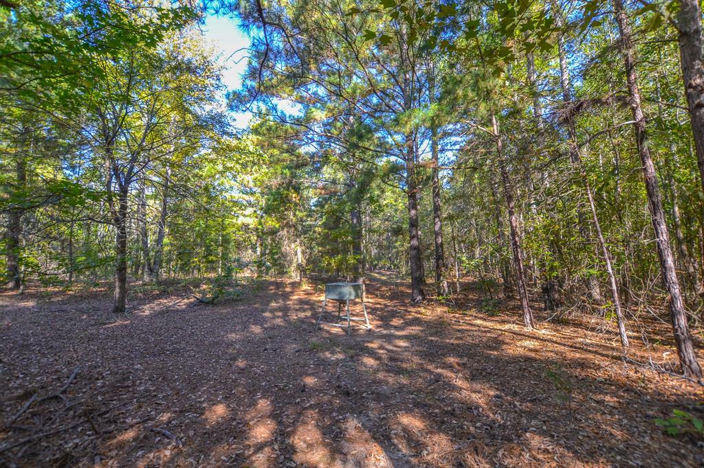 0 County Road 3409 Chandler, TX 75758 - Photo 7 of 38 a view of outdoor space with trees