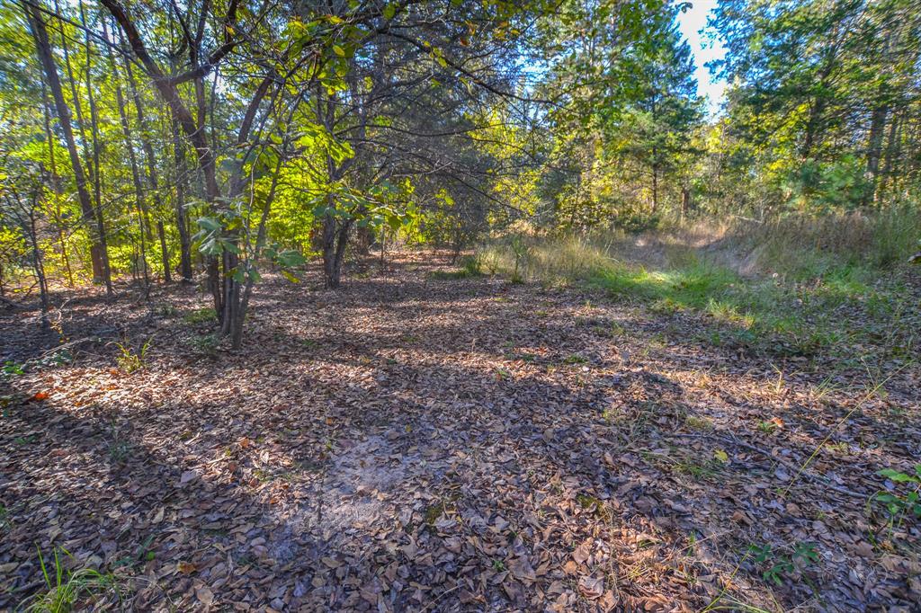 0 County Road 3409 Chandler, TX 75758 - Photo 8 of 38 a view of outdoor space and trees