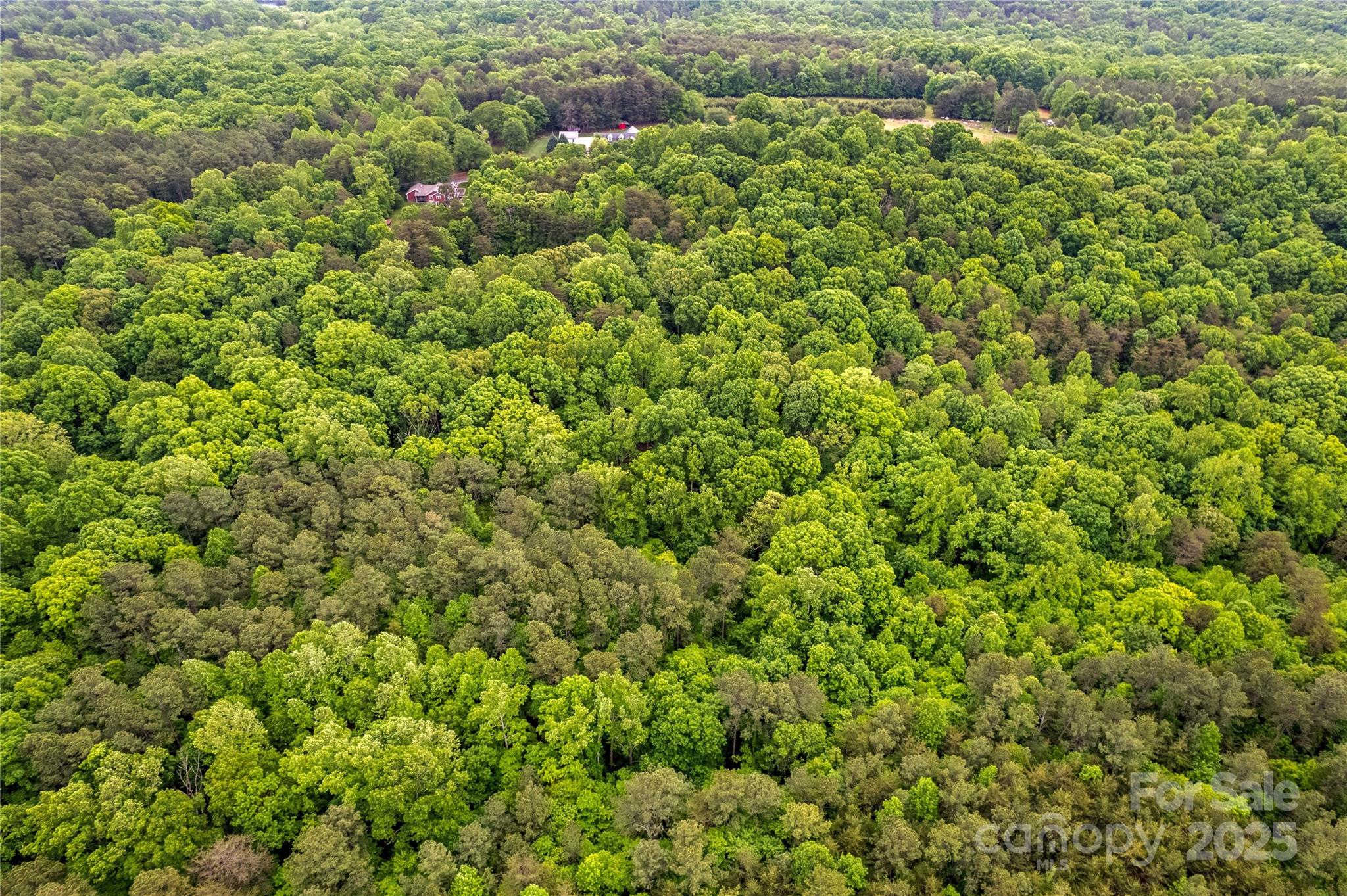 0 Clark Cove Road Statesville, NC 28677 - Photo 13 of 20 Gallery Image 13