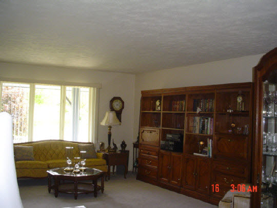 5728 Spring Brook Road Rockford, IL 61114 - Photo 5 of 6 a living room with furniture and a window